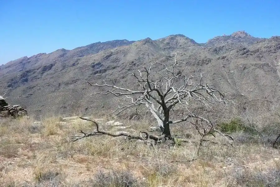 HVAC service in Sabino Canyon Area
