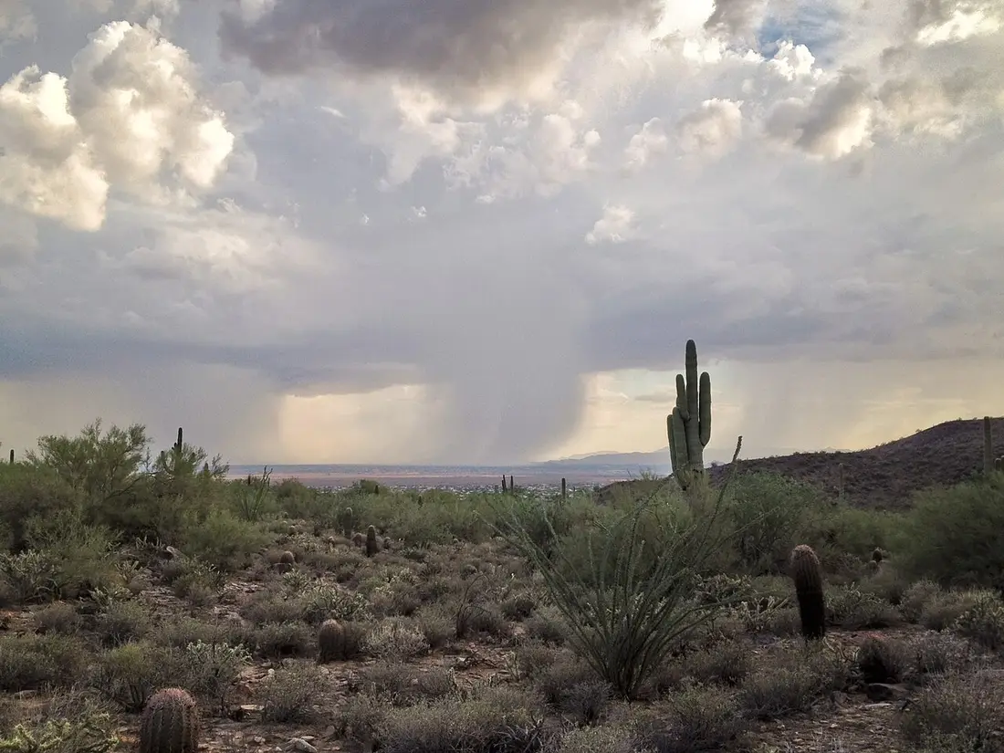 Sonoran Desert around Tucson